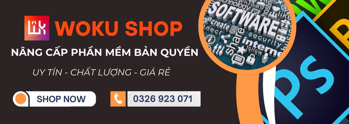 Mua Tabnine Pro với nhiều ưu đãi tại Woku Shop