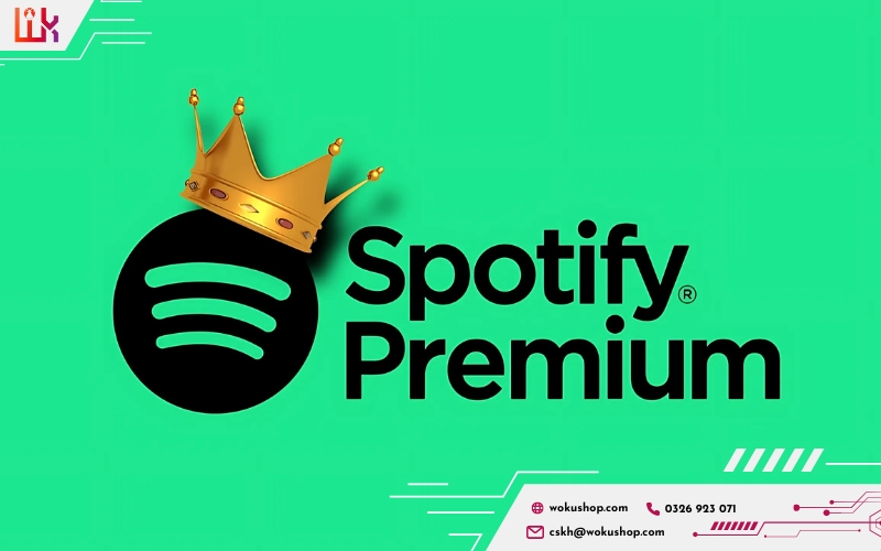 Mua Spotify Premium để trải nghiệm âm nhạc không giới hạn