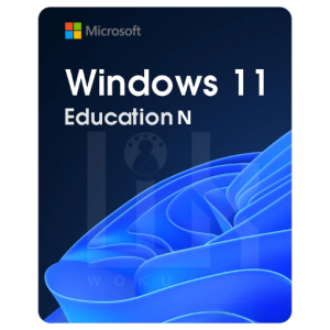 Windows 11 Education N