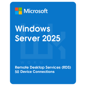 windows rds 2025 device