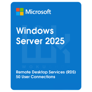 windows rds 2025 device