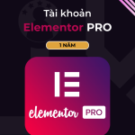 Elementor PRO giá rẻ