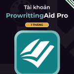 Prowrttingaid Premium Giá Rẻ